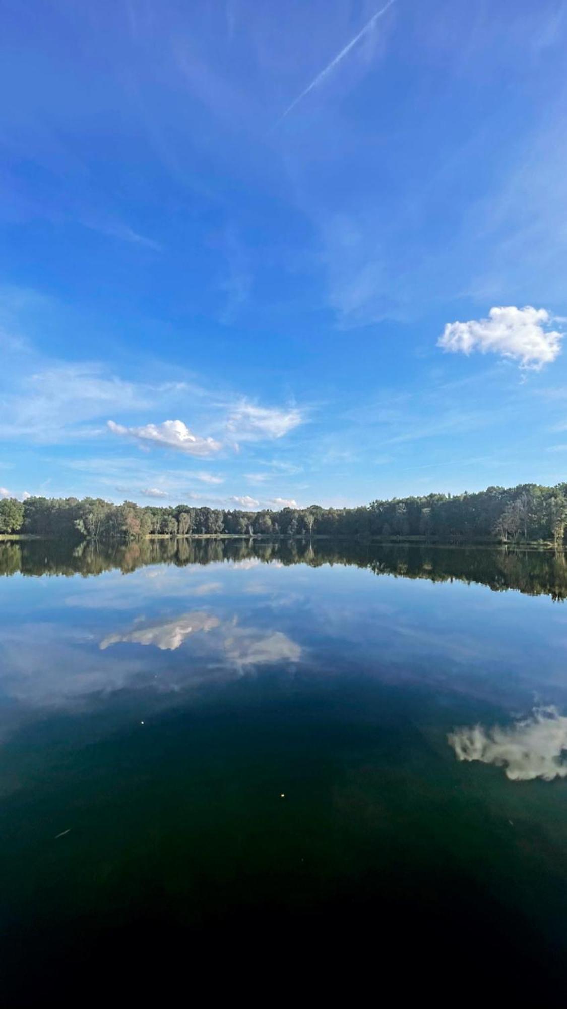 Boshuisje Pinus Sonnevijver Residences Lanaken Εξωτερικό φωτογραφία