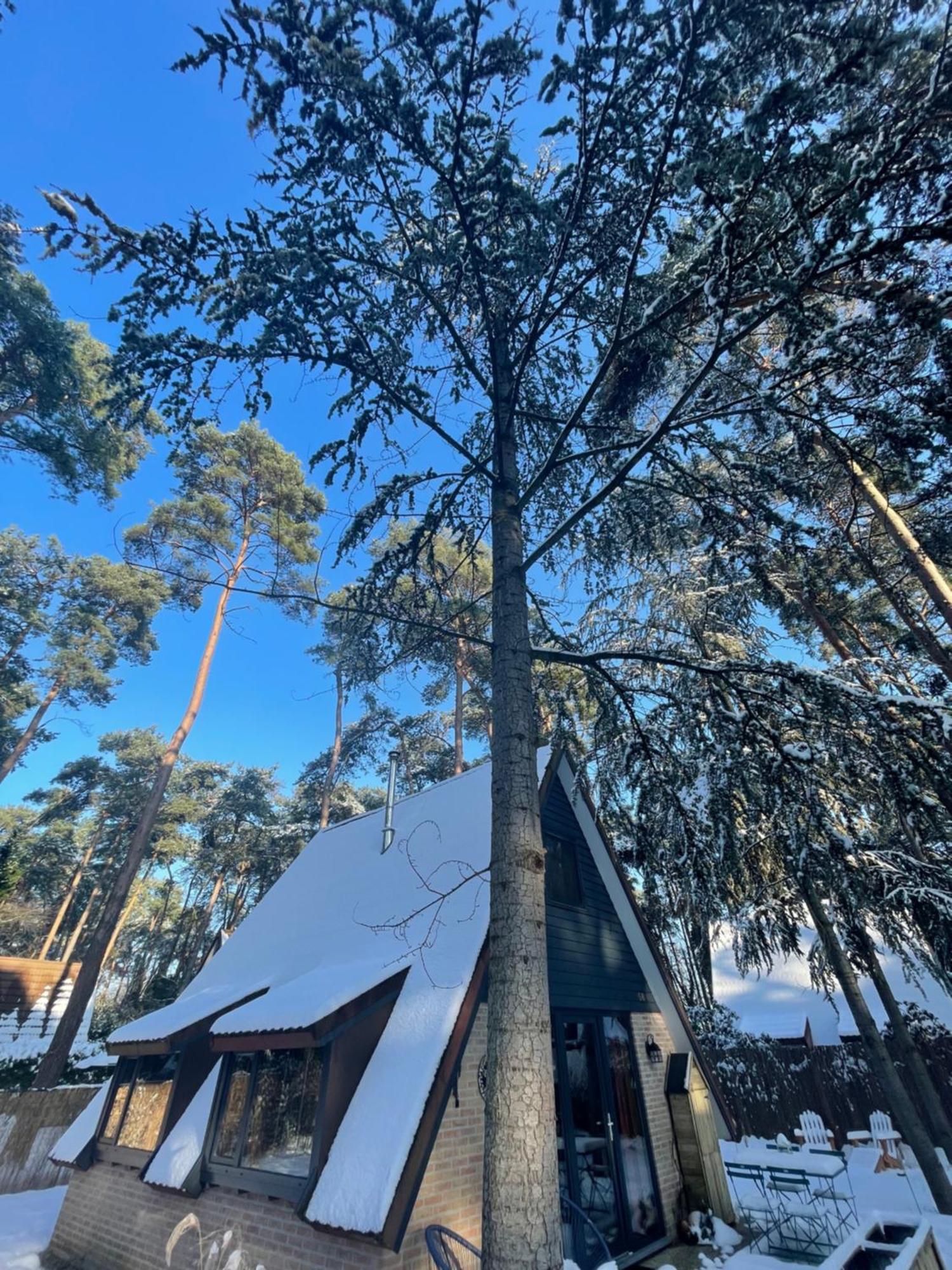 Boshuisje Pinus Sonnevijver Residences Lanaken Εξωτερικό φωτογραφία